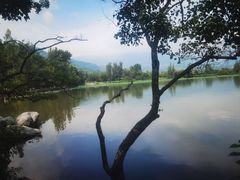 -西昌邛海湿地