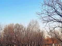 -长白岛森林公园