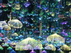 -天津梵高星空艺术馆(天河城旗舰店)