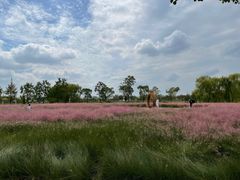 -嘉北郊野公园