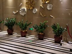 -聚春园自助餐厅(东街口店)