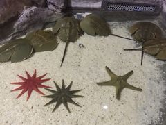 -福州罗源湾海洋世界旅游区