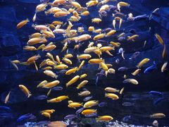 -多彩贵州城极地海洋世界