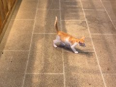 -嘉凌码头·重庆特产手工火锅底料(洪崖洞九楼店)