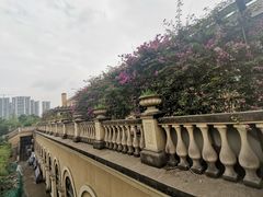 -府河摄影公园