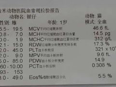 -Bastet sally猫舍购宠(静安店)
