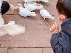 -王府井奥莱临潼小镇(临潼店)