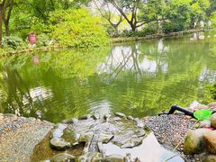 -成都市活水公园