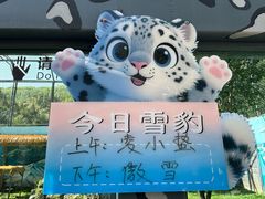 -青藏高原野生动物园