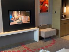 -南京禄口机场雅高铂尔曼大酒店