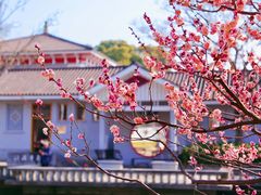 -无锡梅园公园