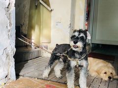 -叁秋咖啡 SANQIU COFFEE(天津河北路店)