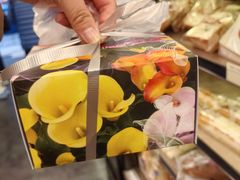 -圣安娜饼屋(新板樟堂店)