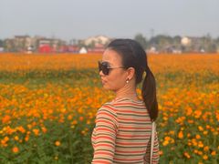 -枫林花海