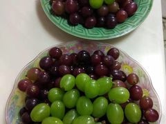 -马陆小张葡萄园农家乐