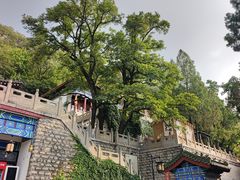 -千佛山风景名胜区