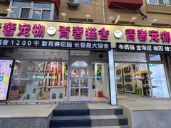 -青奢宠物·青奢猫舍