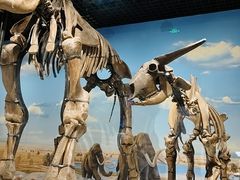 -国家自然博物馆