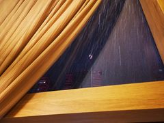 -润园四季椰子鸡火锅(南山海岸城店)