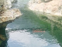 -黑河国家森林公园