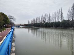 -高东镇樱花园