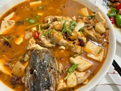 -煲来饱去冷水鱼