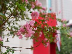 -新世界大丸百货