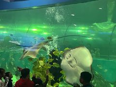 -苏州海洋馆