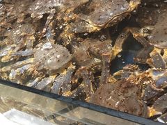 -海景壹号大酒店(滨湖店)