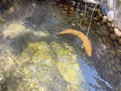 -炊烟餐厅