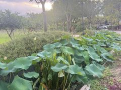 -金稼园·金平湖农家菜