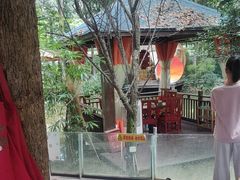 -二荆条·蜀鲜汇城市森林火锅