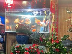 -老宅子私房菜馆(大理古城店)