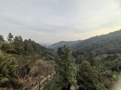 -安吉涵田度假村·龙倚楼咖啡厅