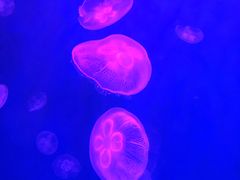 -华夏文旅西安度假区