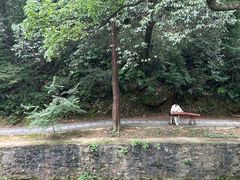-白鹿洞书院