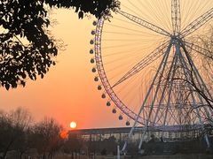 -祥源·阜阳生态乐园