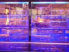 android_upload_pic-怡咖啡自助餐(宁波香格里拉店)