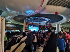 -奥斯卡升龙国际影城(RealD Cinema)