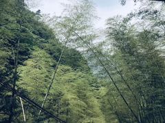 -藏龙百瀑风景区