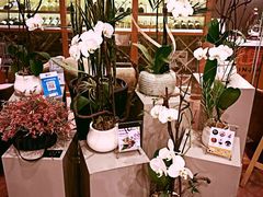 -浦鸿会游泳健身中心·Ambassy Club PD(金桥碧云国际社区店)
