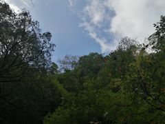 -藏龙百瀑风景区