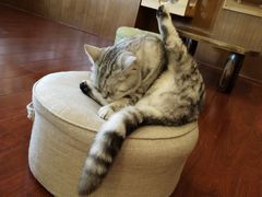 -万达广场(东莞厚街店)