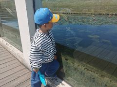 -春花秋色城市公园