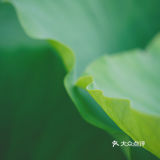 我心中的言叶之庭