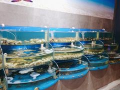 -蓝珊甄选海鲜自助·火锅大排档(近阿那亚店)