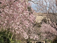 -西安电影制片厂