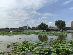 -济南大明湖景区