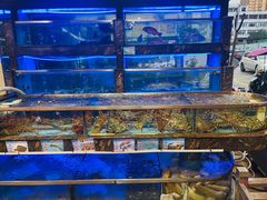 -湛江渔港·大排档(乐园路总店)