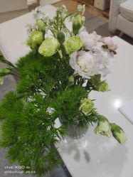 -HEYAN荷妍专业脱毛连锁机构